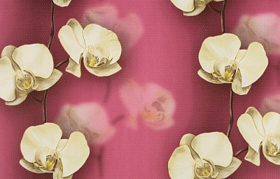 Брянские Обои Грация  гфр 10 С6БР-ГП